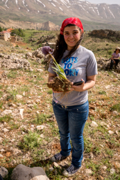 Al-Arz;Iris;Iris-Cedreti;Kaleidos;Kaleidos-images;Lebanon;Middle-East;Near-East;Tarek-Charara;Youssef-Tawk;Flowers;Endemic;Endemic-species;Critically-endangered;Critically-endangered-species